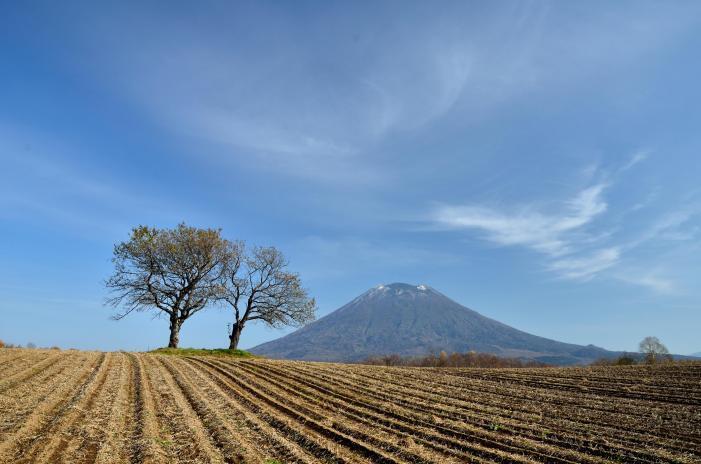 写真：蝦夷富士