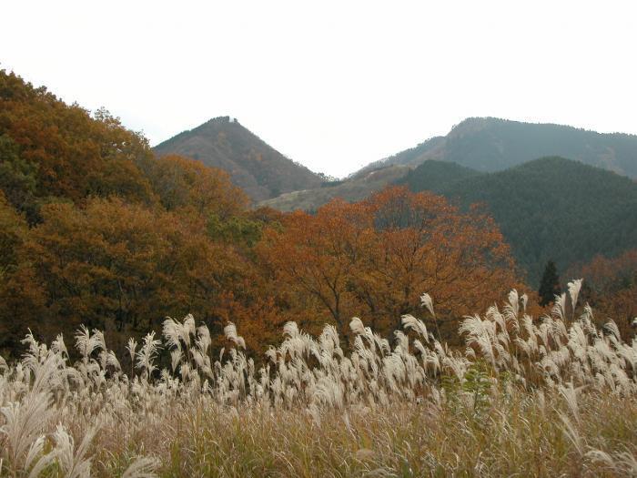 写真：伊賀富士