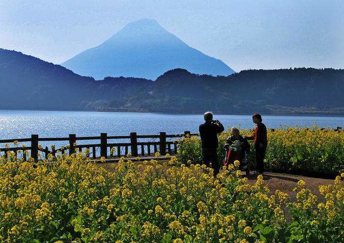 写真：薩摩富士