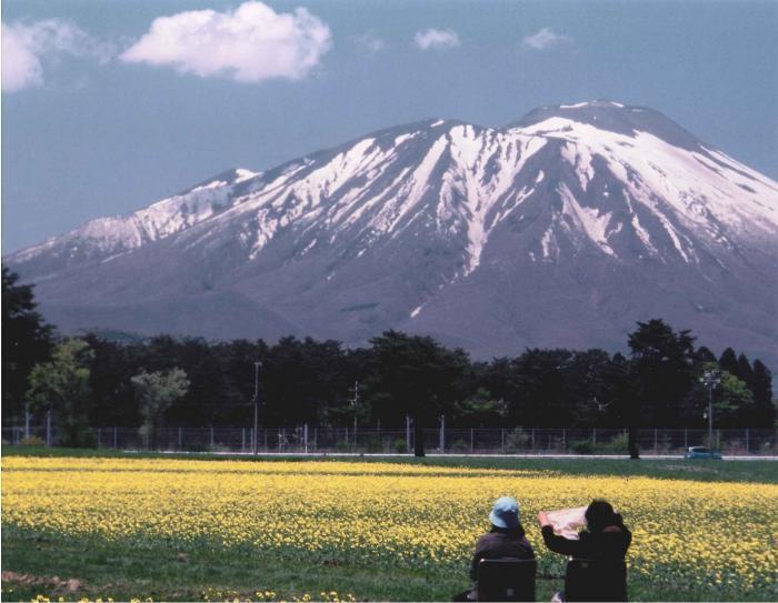 写真：南部富士