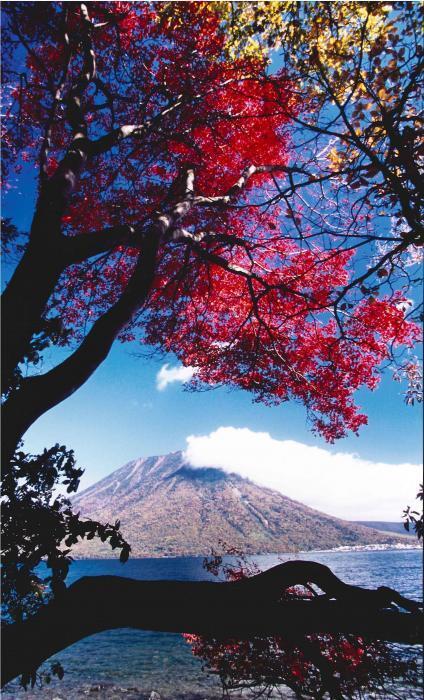 写真：日光富士