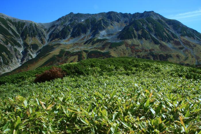 写真：立山富士