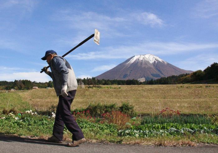 写真：伯耆富士