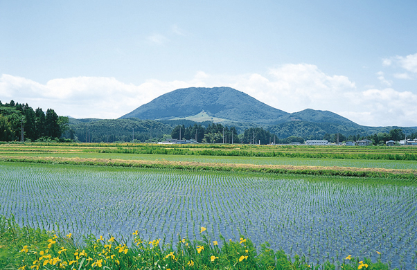 写真：加美富士［薬莱山］