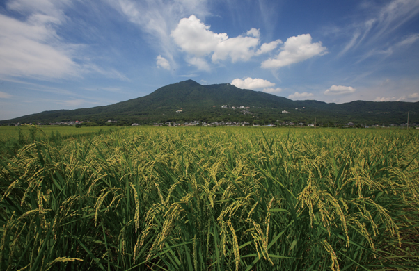 写真：筑波富士［筑波山］