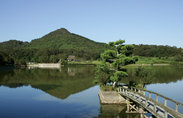 写真：有馬富士［角山］