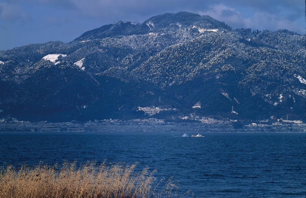 写真：都富士［比叡山］