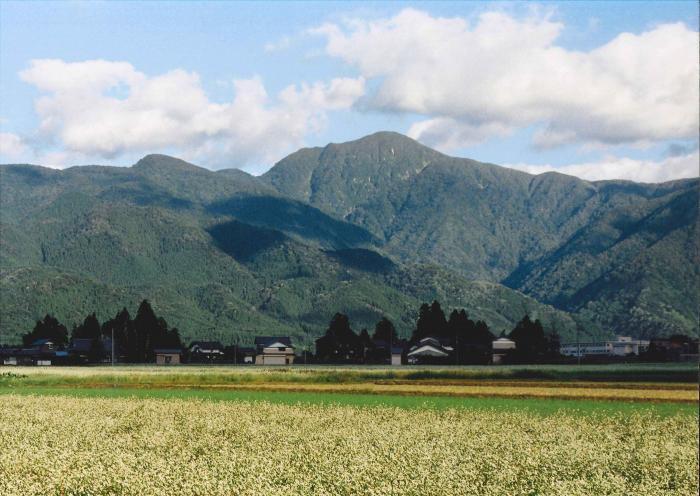 写真：大野富士