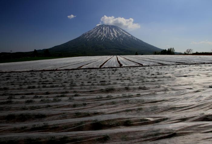 写真：蝦夷富士