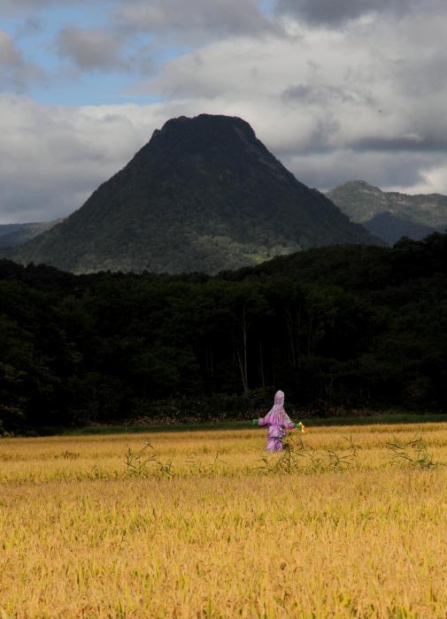 写真：浜益富士