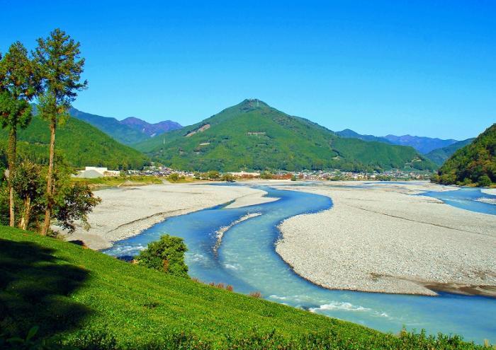 写真：川根富士