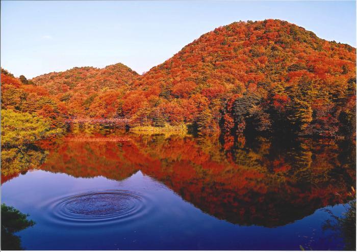 写真：関富士