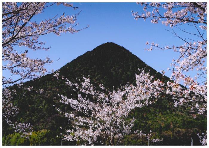 写真：近江富士