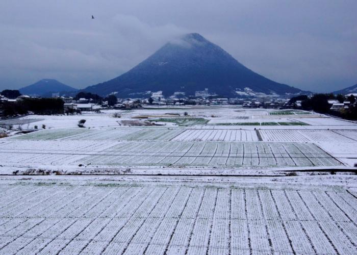 写真：讃岐富士