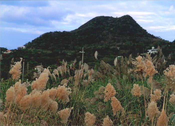 写真：本部富士