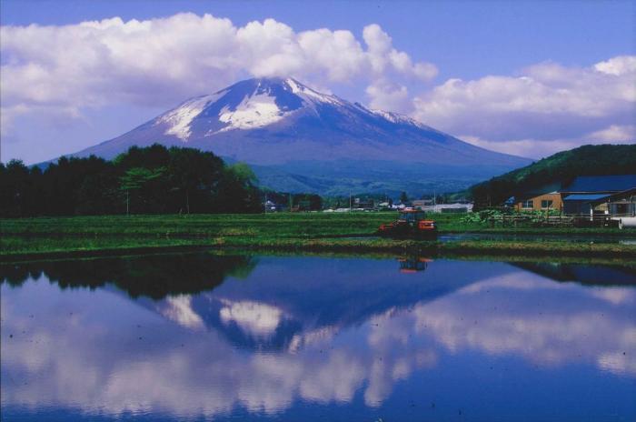 写真：南部富士