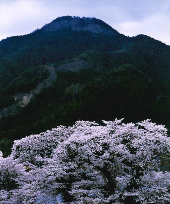 写真：香肌富士（川俣富士）