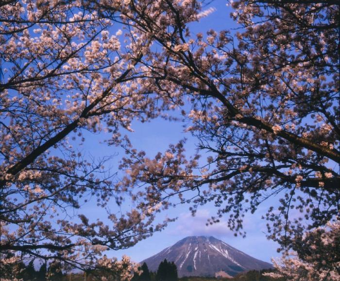 写真：伯耆富士