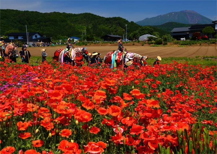 写真：南部片富士