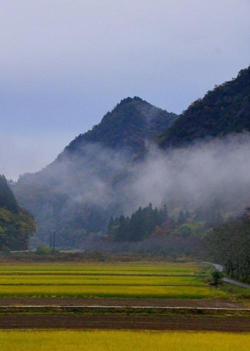 写真：山之上富士