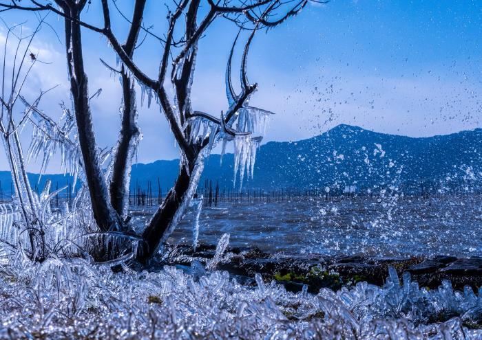 写真：都富士