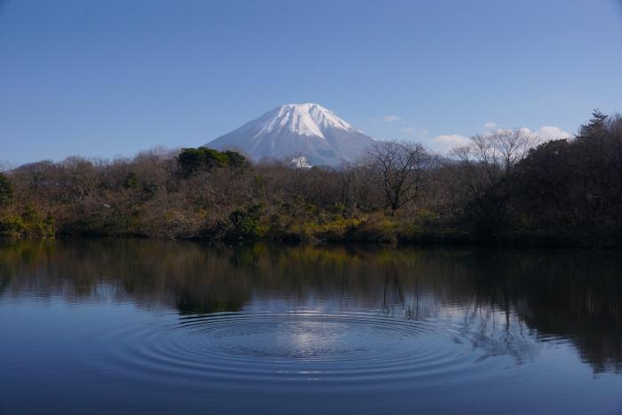 写真：伯耆富士