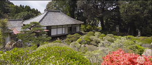 写真：長楽寺