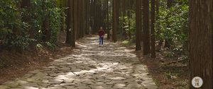 写真：箱根