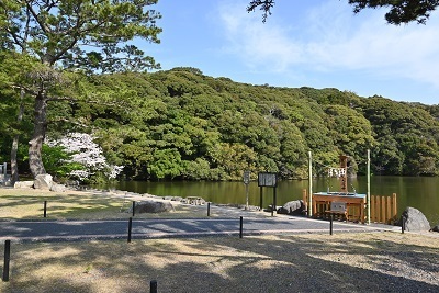 写真：桜ケ池