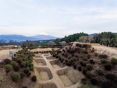 写真：山中城跡