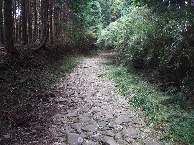 写真：箱根旧街道