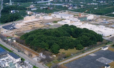 写真：長者屋敷遺跡