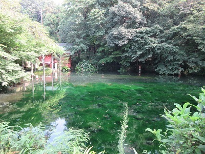 写真：湧玉池