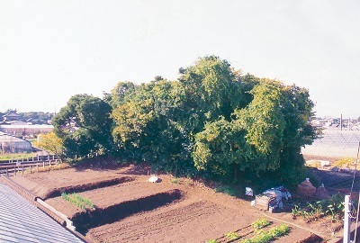 写真：庚申塚古墳