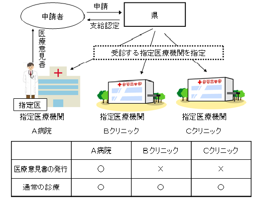 イラスト：小児慢性参考の図