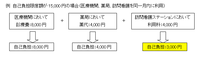 図：自己負担例