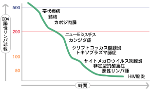 グラフ：折れ線グラフ