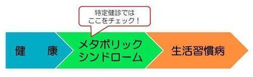 図解：健康→メタボリックシンドローム（特定健診ではここをチェック！）→生活習慣病