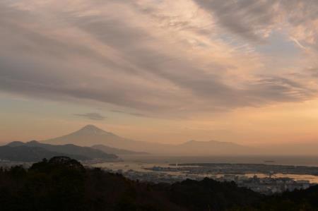 写真：入選朝光あびて