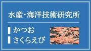 水産・海洋技術研究所（かつお・さくらえび）（外部リンク・新しいウィンドウで開きます）