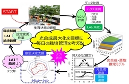 「光合成最大化ナビゲーション」を核とした栽培管理改善プロセス