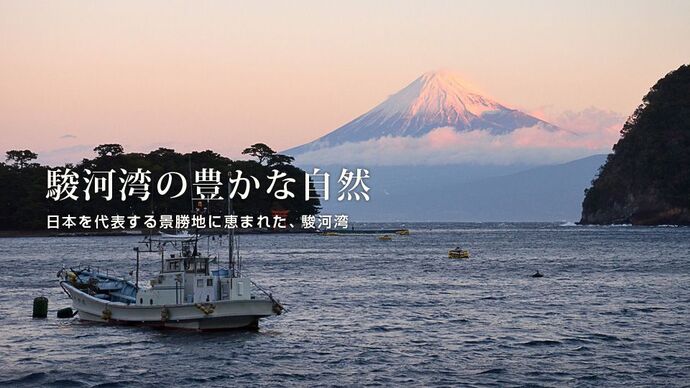 駿河湾の豊かな自然 日本を代表する景勝地に恵まれた、駿河湾