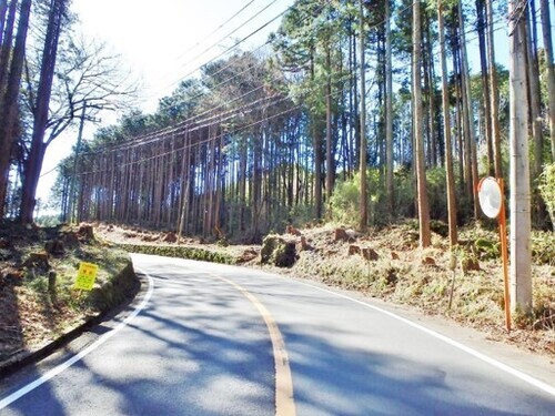 写真：裾野市道路整備後