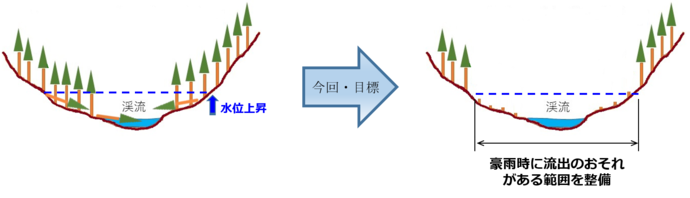 イラスト：倒木を片づけたことにる森林の変化
