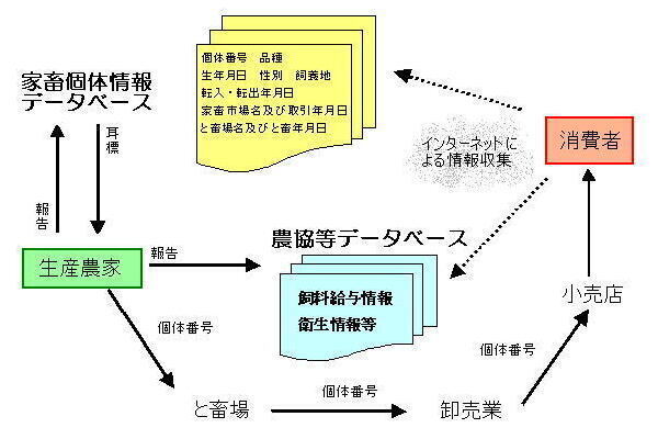 イラスト：牛肉トレーサビリティシステム導入促進事業の流れ