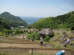 写真：松崎町石部の棚田