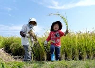 写真：曾孫もお手伝い