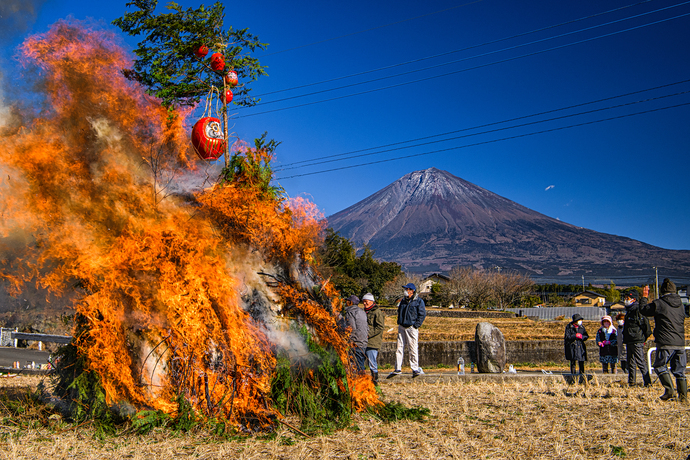 写真：第8回特選受賞作品