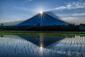 写真：感動の水田ダイヤ