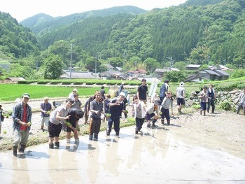 写真：H25靜甲田植え